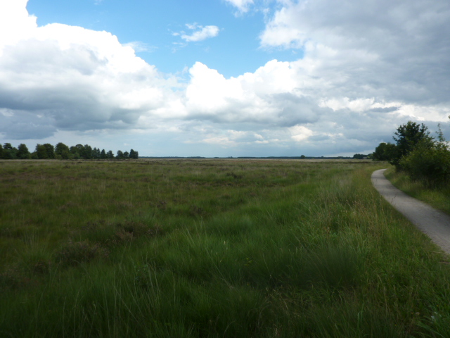 dwingelderveld